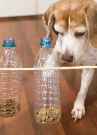 2 Diseño sin título (8)