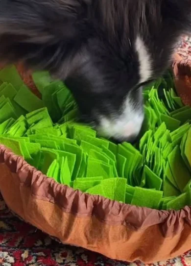 4 Diseño sin título (6)