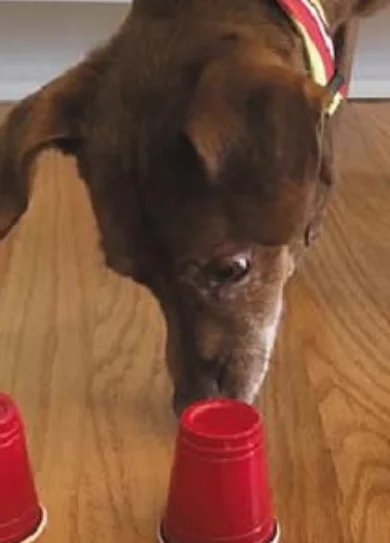 6 Diseño sin título (7)