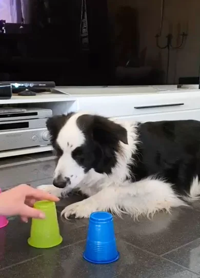 Diseño sin título (10)