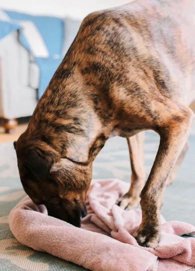 Diseño sin título (12)