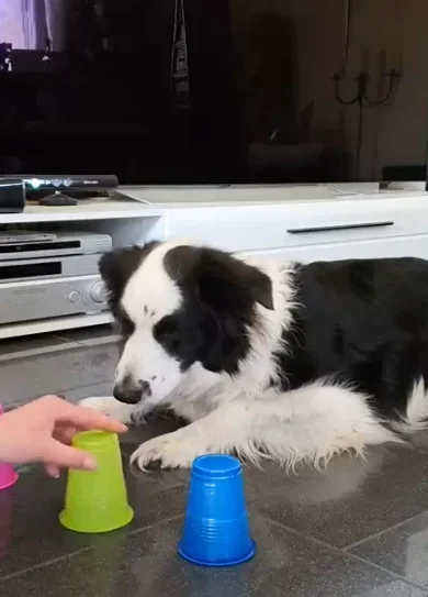 2 Diseño sin título (10) remuestreada por 2da vez