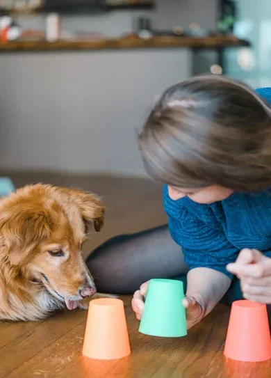 7 Diseño sin título (1) remuestreada por 2da vez