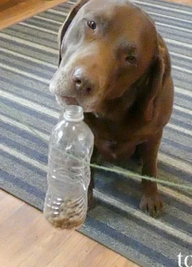 7 Diseño sin título (5) remuestreada por 2da vez